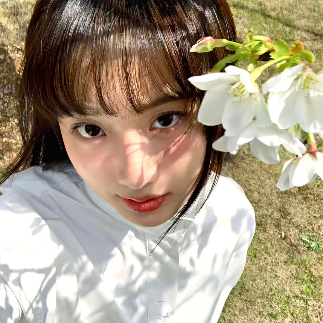烽烟尽处